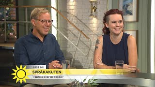 Språkakuten klargör en gång för alla – kex eller chex  Nyhetsmorgon TV4 [upl. by Crowley609]