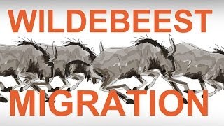 The Wildebeest Migration An Animation [upl. by Harihat]