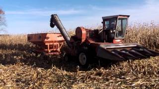 Picking Corn in Ohio with a New Idea Uni System [upl. by Maag]