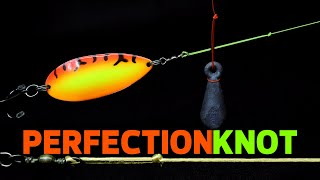 Perfection Loop Knot Essential Fishing Knot for Every Angler StepbyStep Guide [upl. by Missak570]