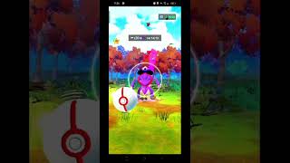 POKEMON GO live POKEMON GO new raid livestream gbllive mobilegame [upl. by Vedetta]