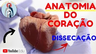 DISSECANDO UM CORAÇÃO❗❗DESCUBRA AQUI❗ ANATOMIA CARDÍACA Anatomia Prática [upl. by Alisia561]