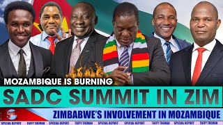 SADC leaders coming to Zimbabwe as ZANU PF quotunintentionallyquot brings chaos in the region [upl. by Johppah]