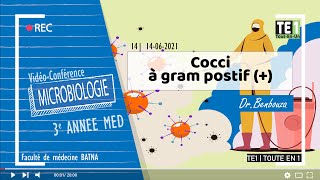 14  Cocci à gram positif [upl. by Norm]