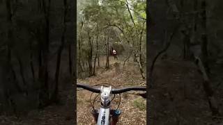 Ce passage est une pépite 💎shorts mtb mtbjumps sendit [upl. by Gault47]