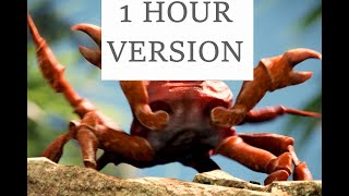 Crab Rave 1 Hour [upl. by Nimesh]