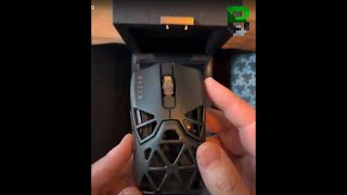 Razer Viper Mini Signature Edition Unboxing [upl. by Yuma79]