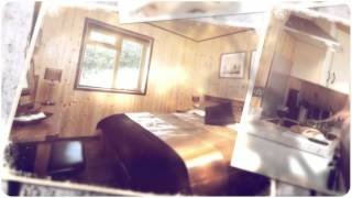 New Forest Lodges  Log Cabin Holidays and Breaks [upl. by Assenar]