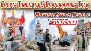 Chopta Tungnath amp Chandrashila Trek  Highest Shiva Temple tungnath DevbhoomiDarshanJyoti [upl. by Enyamrahc710]