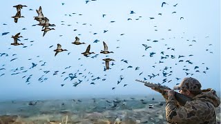 DUCKS GO INSANE FOR FOG CLEAN AND COOK [upl. by Tigdirb770]