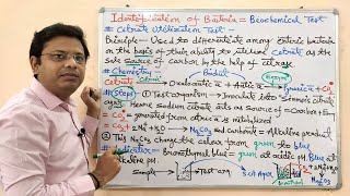 Microbiology 52  Identification of Bacteria Part07 Final  Citrate Utilization Test for Bacteria [upl. by Ashely913]