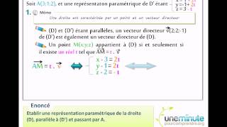 Représentation Paramétrique de Droites  Une Minute Pour Comprendre [upl. by Annaehr778]