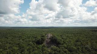 Calakmul ruins Mexico 4K Drone カラクムル遺跡 [upl. by Yrelle421]