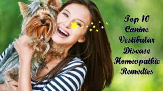 Homeopathic Remedies for Vestibular Disease in Dogs [upl. by Carpet998]