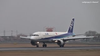 熊本空港 All Nippon Airways ANA Airbus A320200 JA8392 着陸 2013329 [upl. by Arahsit748]