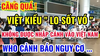 VIỆT KIỀU quot LO SỐT VÓ quot KHÔNG ĐƯỢC NHẬP CẢNH VÀO VIỆT NAM CHỈ BÌ ĐIỀU NÀY [upl. by Renell98]