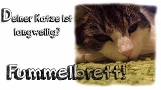 Fummelbrett für Katzen basteln [upl. by Honig419]