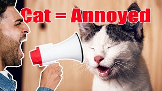 Sound To ANNOY Your Cat  Cats HATE This Sound [upl. by Hwu]