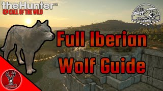 How To Hunt Iberian Wolves On Cuatro Colinas With Shot Placement Guide [upl. by Cassie]