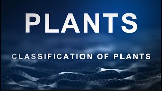 Plants  Classification of Plants  P3 Science [upl. by Darda839]