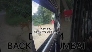 DAY 274 1000 BACK TO MUMBAI 😍💕 pointlesspriya dailyvideos vlog gaon mumbaivlog trending [upl. by Arihat]