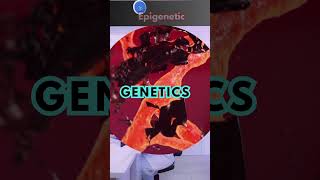 What is the difference between genetic and epigenetic genetics Vs epigenetics [upl. by Airdnalahs]