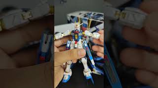 Bandai RG Strike Freedom Gundam [upl. by Adnawed]