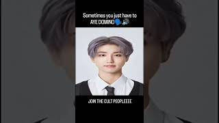 AYE E DOMINO kpop straykids han [upl. by Ehcar]