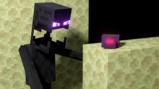 Why Endermen Hate Endermites [upl. by Berthe]