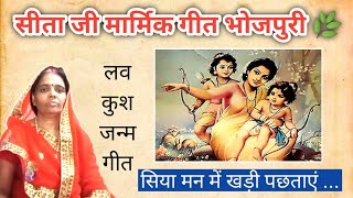 सीता जी मार्मिक गीत भोजपुरी l sita ji marmik geet bhojpuri l lav kush janm geet l folk song bhojpuri [upl. by Wollis]