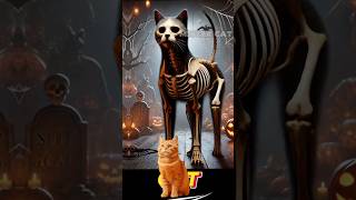 Skeleton of Animals Funny Animals  Mister Cat [upl. by Madeline]