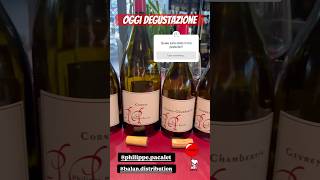 DEGUSTAZIONE ICONICA megliodibere wine borgogna degustazioni degustazione sommelier pommard [upl. by Nilrac]