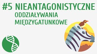 Nieantagonistyczne oddziaływania międzygatunkowe 5  Ekologia [upl. by Ludlow]