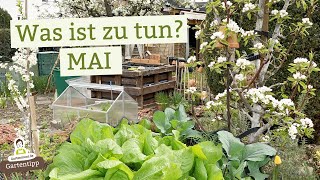 Die wichtigsten Gartenarbeiten im Mai Damit du nichts vergisst [upl. by Farrington]