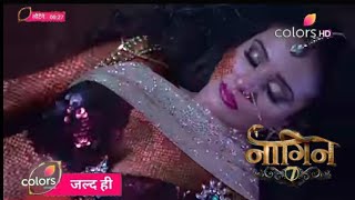 Naagin 7 New PROMO  Mahashaktishali Naagin ki Entry  Colors TV new promo  2024 [upl. by Adnat378]