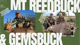 Mountain Reedbuck and Gemsbuck double whammy  South Africa hunting [upl. by Madden]