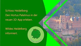 Schloss Heidelberg Den Hortus Palatinus in der 3DApp erleben [upl. by Nuahsar692]