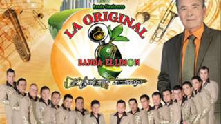 La Original Banda Limon 2013 mix [upl. by Rorie255]