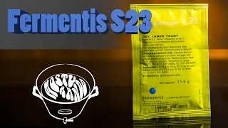 Fermentis S23 — Lager com cara de Ale [upl. by Reave]