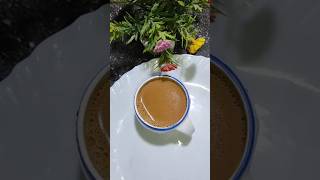 Bengali Milk teaelaichi chaiAdrak ChaiDoodh ChaiChai latteGinger teaajantarrannaghor shorts [upl. by Hodge]