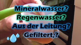 Das beste Gießwasser auf Erde 🥦 – PH Wert EC Wert Temperatur [upl. by Had592]