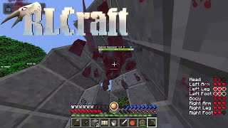 Grinding Chill Stream Warning for OCD People RLcraft [upl. by Conal]