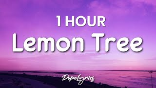 1 HOUR Lemon Tree  Fools Garden Lyrics 🎵 [upl. by Glenn]