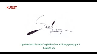 Soul FishingUpo Wetland Life Path King Willow Tree in Changnyeong gun 1 [upl. by Anilegnave191]