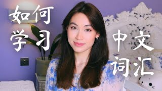 How to Learn Chinese Faster and Smarter [upl. by Faydra]