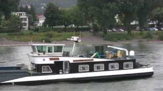 Rhine Cruise from Bonn to Konigswinter [upl. by Beitris]