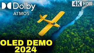 quotOLED DEMO 2024 Dolby Atmos 240 FPS The Smoothest 4K HDR Demo You’ll EVER Seequot [upl. by Okir725]