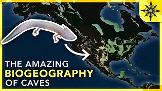 The Amazing Biogeography of Caves [upl. by Aerdna]