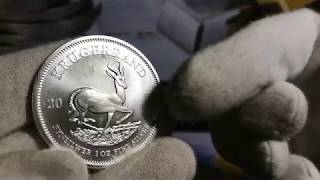 2019 South African 1oz Silver 999 Krugerrand coin from the SA mint [upl. by Rube174]