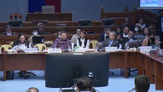 Part 3 Senate Hearing on Charter Change Hearing 2024 100 Foreign Ownership Philippines [upl. by Richelle]